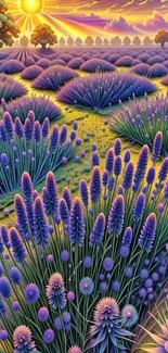 Lavender field at sunset with vibrant colors.
