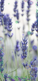 Lavender flowers with bubbles on a calming mobile wallpaper scene.