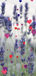 Lavender blooms mobile wallpaper with soft, calming tones.