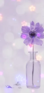 Lavender flower in clear glass vase against bokeh background.