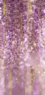 Lavender flowers cascading in a soft, dreamy mobile wallpaper.