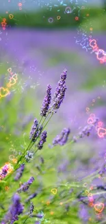 Lavender field with hearts and stars over purple blooms.