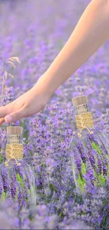 Hand reaching over lavender field with bottles, capturing nature's essence.