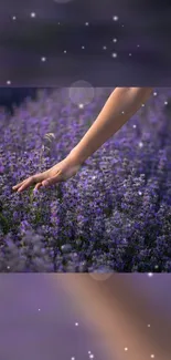 Hand touching lavender flowers with bokeh lights in a purple-toned wallpaper.