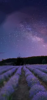 Lavender field under a vibrant starry sky night wallpaper.