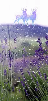 Lavender field with mystical deer in the background.