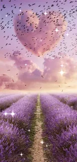 Lavender field with heart-shaped cloud and birds at sunset.