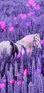 Horse in lush lavender field wallpaper.