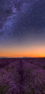 Lavender fields at dusk with starry sky.