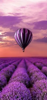 Hot air balloon over lavender fields at sunset.