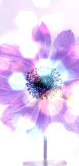 Lavender flower in glass vase with soft bokeh background.