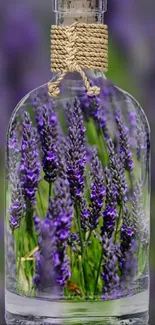 Artistic glass bottle filled with lavender flowers.