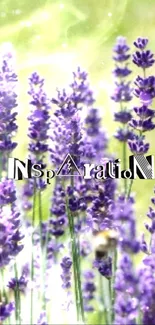 Purple lavender flowers with 'Inspiration' text on a green background.