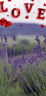 Lavender field with love message and purple flowers.