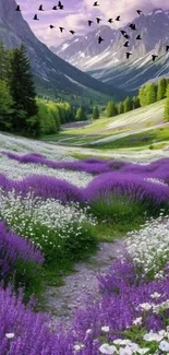 Lavender fields in a mountain valley with birds flying overhead.