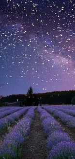 Lavender field under a starry night sky with dark purple hues.