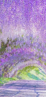 Lavender floral tunnel creating a serene and enchanting pathway.