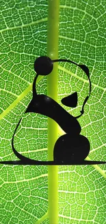 Yoga silhouette with green leaf background wallpaper.