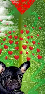 Wallpaper of a puppy with green leaves and red hearts.