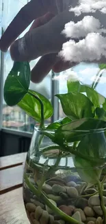 Green leaves in vase with clouds overlay.