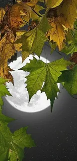 Green and brown leaves with full moon against a starry night sky.