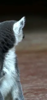 A lemur facing away with a soft, blurred background, ideal for mobile wallpaper.