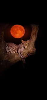 Leopard resting on a tree with a blood moon in the background. Dramatic night scene.