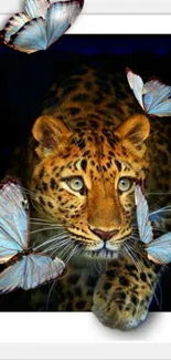 Leopard surrounded by blue butterflies on a dark background.