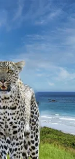 Leopard standing by ocean with clear sky in background.