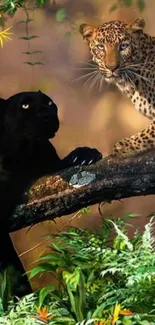 Leopard and black panther on a jungle tree.