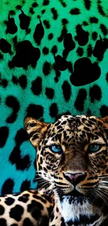 Leopard with black paw prints on a teal background mobile wallpaper.