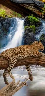 Leopard resting on a log with waterfall in background.