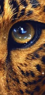 Close-up of a leopard's eye with detailed fur patterns.