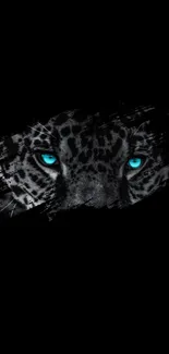 Black wallpaper featuring leopard's glowing blue eyes.