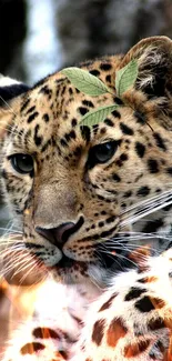 Close-up of a leopard with vivid fur and green leaf accent, perfect for nature lovers.