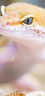 Close-up of a leopard gecko with detailed skin and vibrant colors.