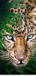 Close-up of leopard with green leaves in jungle setting.