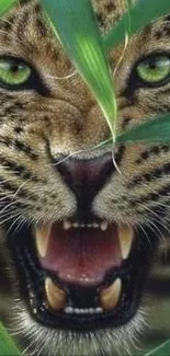 Leopard showing sharp teeth in green foliage.