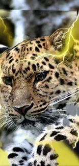 Leopard with lightning effects on mobile wallpaper.