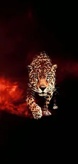 Leopard walking on a fiery red and black background.