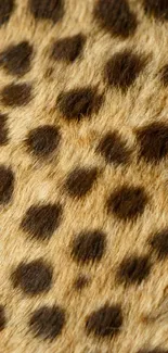 Leopard print fur texture wallpaper for mobile phone background.