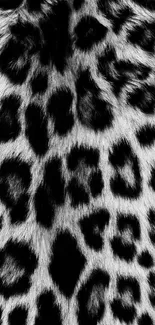 Leopard print in black and white, perfect for phone wallpaper.