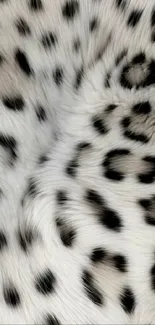 Leopard print fur pattern wallpaper for mobile devices.