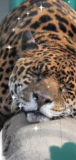 Leopard peacefully resting on a log enhanced with sparkling stars.