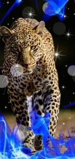 Leopard walking through blue flames with glowing bokeh effects.