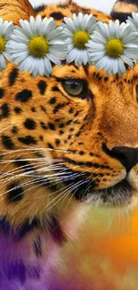 Leopard with a daisy flower crown in a colorful wallpaper.