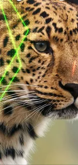 Leopard with neon lights mobile wallpaper.