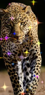 Leopard walking with sparkling colorful lights.