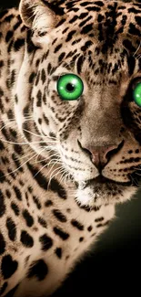 Leopard with vivid green eyes on a natural background.