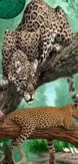 Leopard duo resting on jungle branches with an emerald green background.